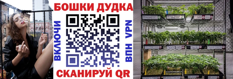 Купить  Глазов  Конопля OG Kush 